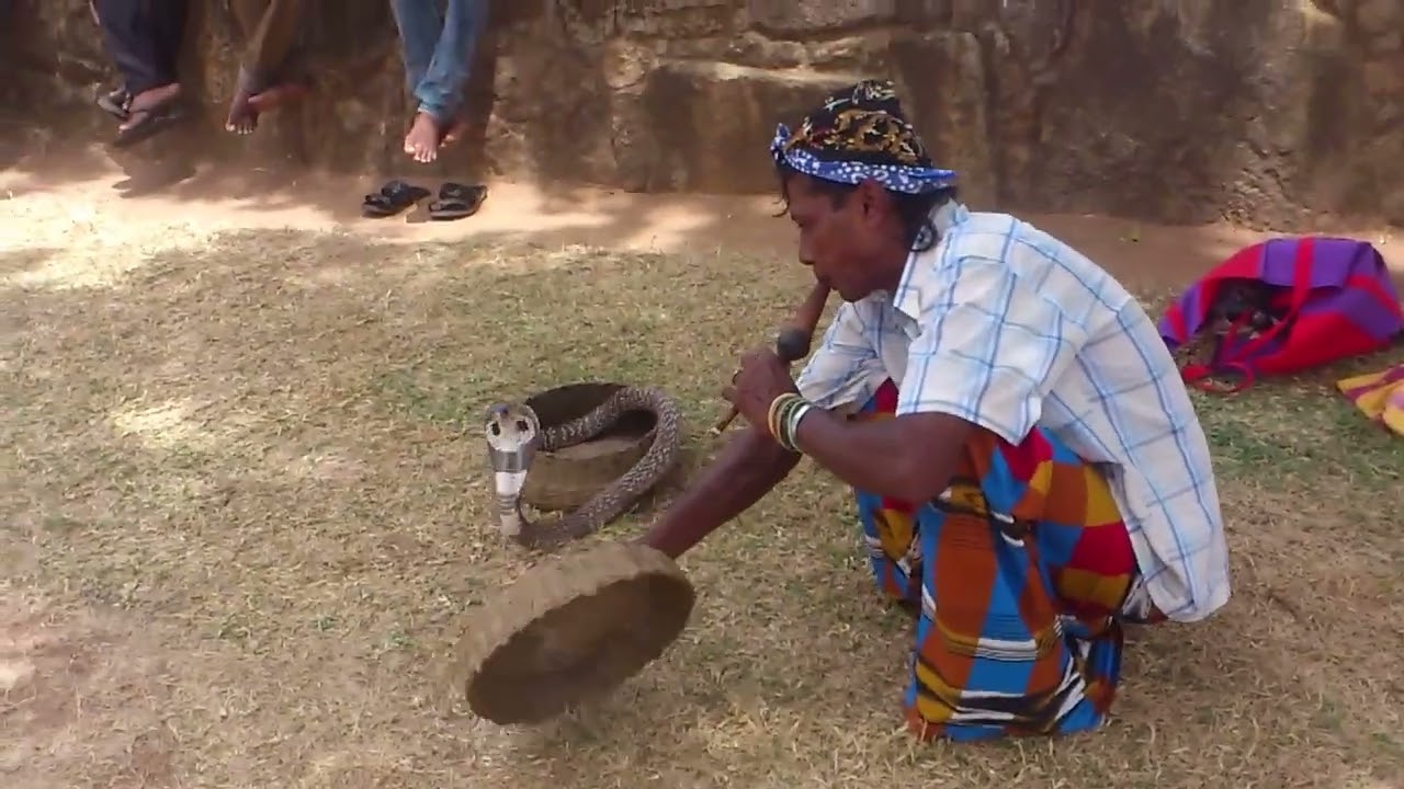 නයි නැටවීම අනුරාධපුර I  Anuradhapura Nai Natawima