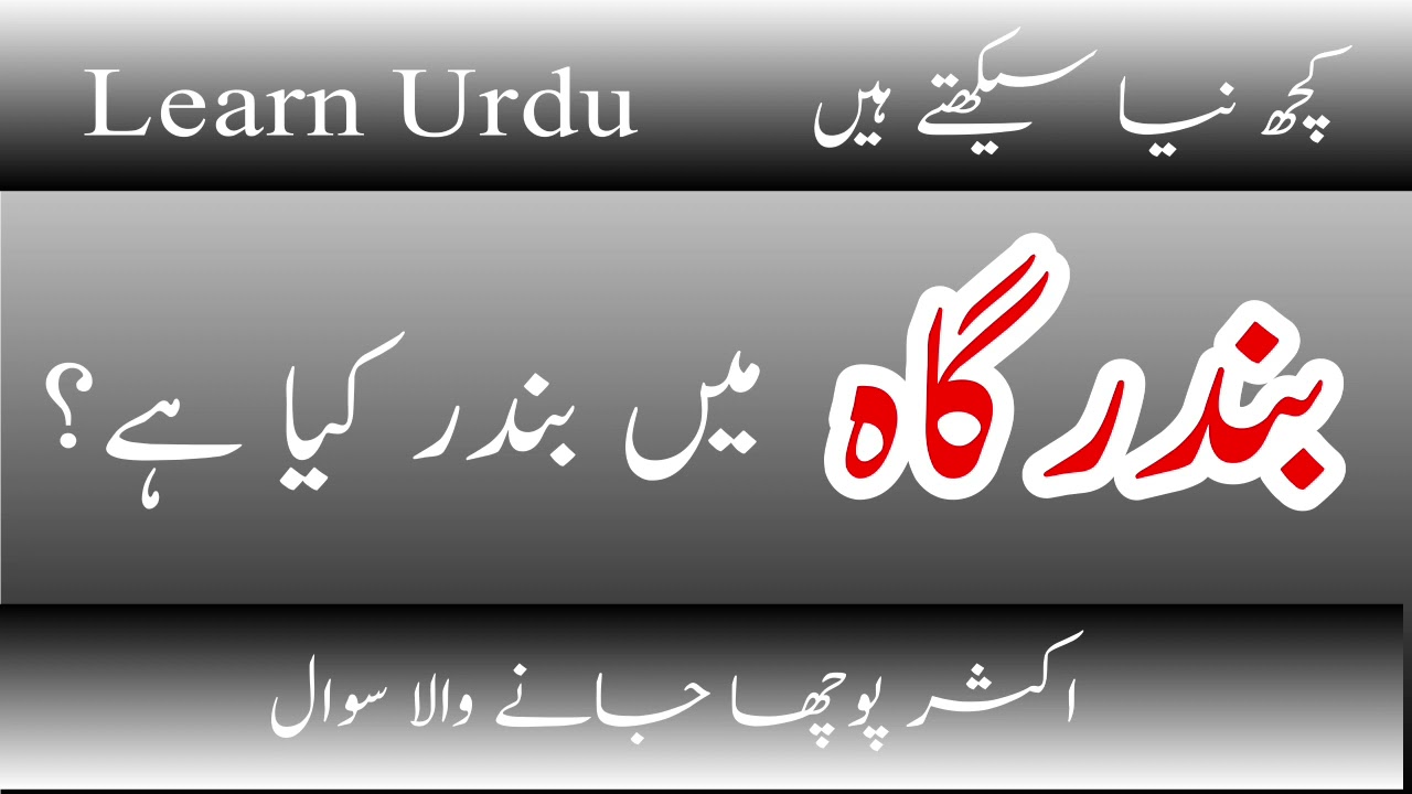Learn Urdu || بندرگاہ میں بندر کا مطلب کیا ہے؟