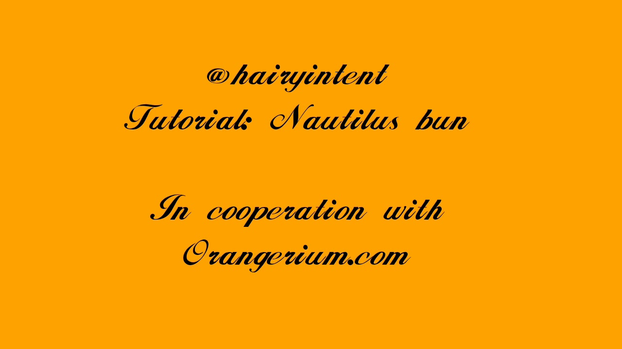 Nautilus hair stick bun tutorial