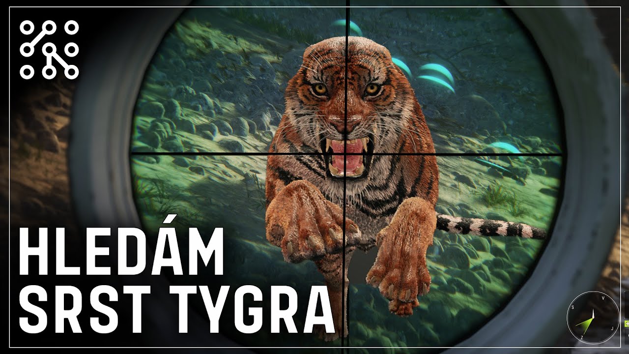Legendární tygr | theHunter: Call of the wild CZ |  Česky