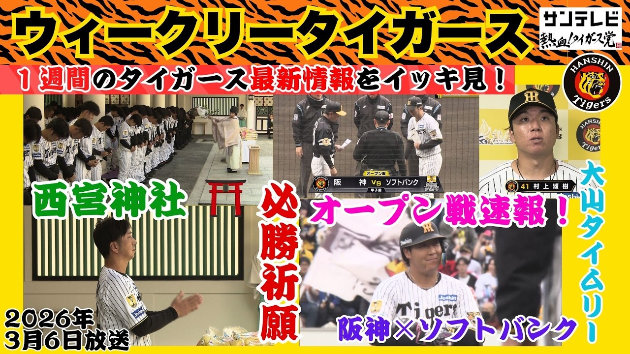 【2/28～3/6のタイガース情報🐯】今日のオープン戦の情報を速報でお届け！ #熱血タイガース党