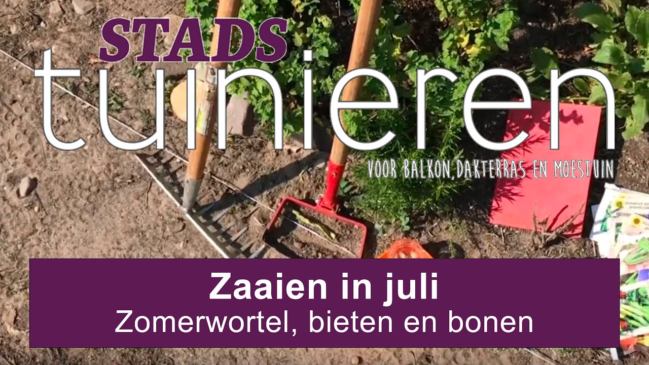 Stadstuinieren - Zaaien in juli #moestuin
