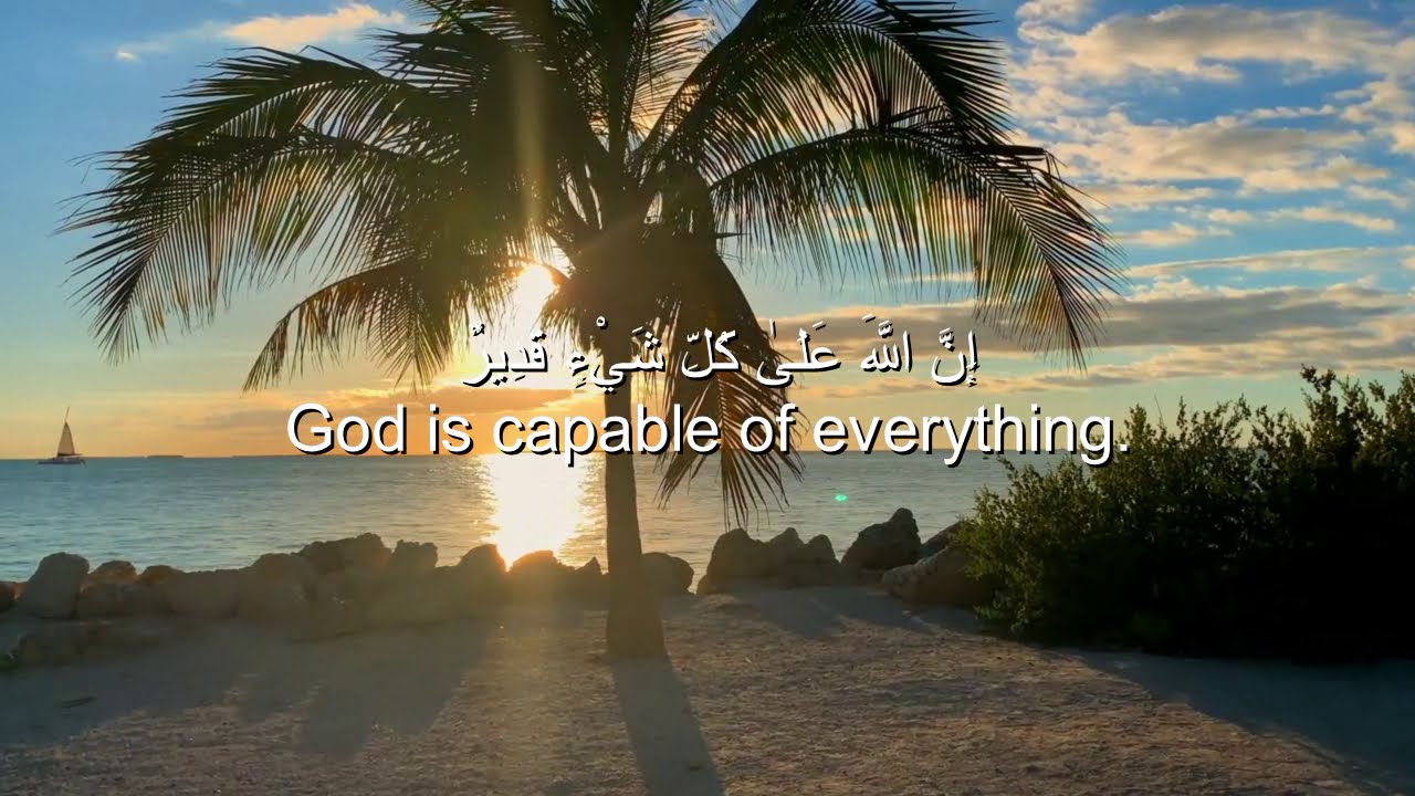 Tareq Mohammad Surah AlBaqarah Full ❤️ Best Voice Heart melts سورة البقرة -كاملة