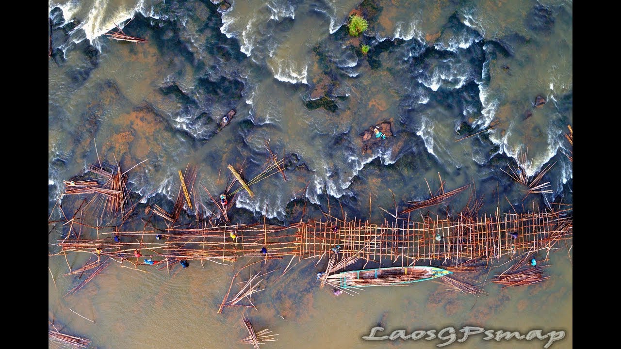 Longest Bamboo bridge Asia built in 132 seconds.
