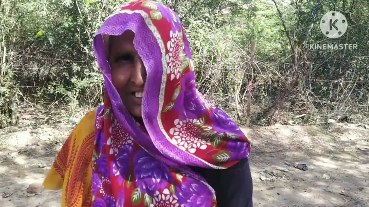 भांडेर के ग्राम पथरिया ततारपुर गांव का समाचार देखे ।