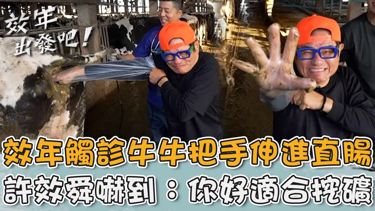 效年觸診牛牛把手伸進直腸？許效舜嚇到臉變形：你好適合挖礦！【#效年出發吧】20260118 EP19 Part2｜📍彰化．福興 ．鹿港｜許效舜 張睿家