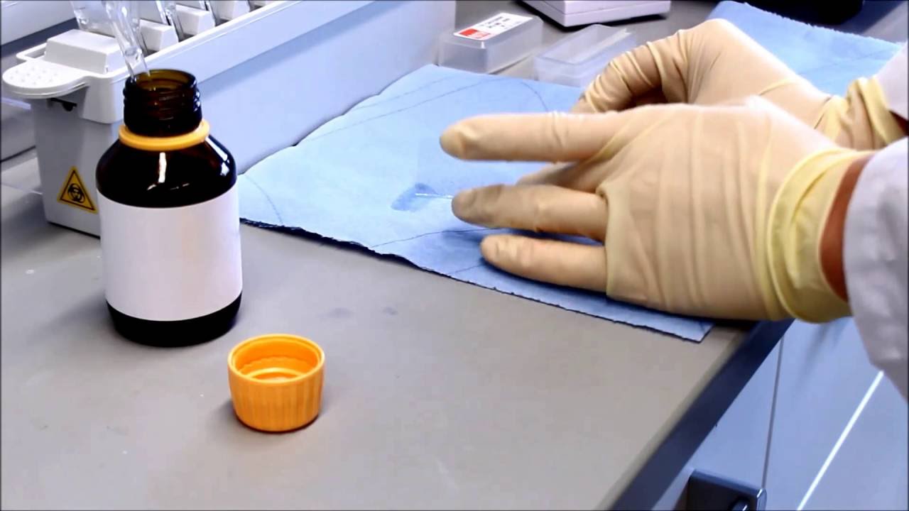 Durchführung einer Immunhistochemie / immunhistochemischen Färbung