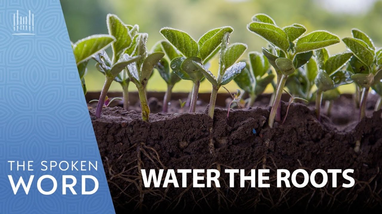 Water the Roots | Spoken Word #5035 March 15, 2026