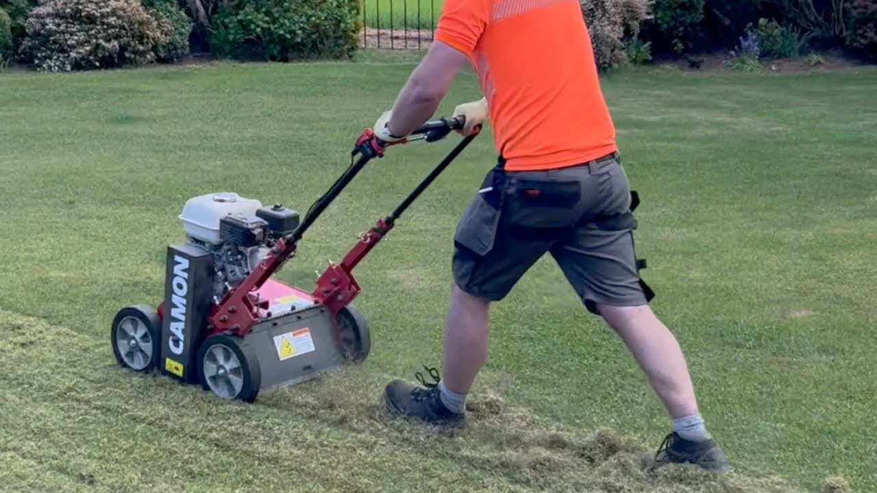 Lawn Renovation & Scarification Transformations (Before & After)