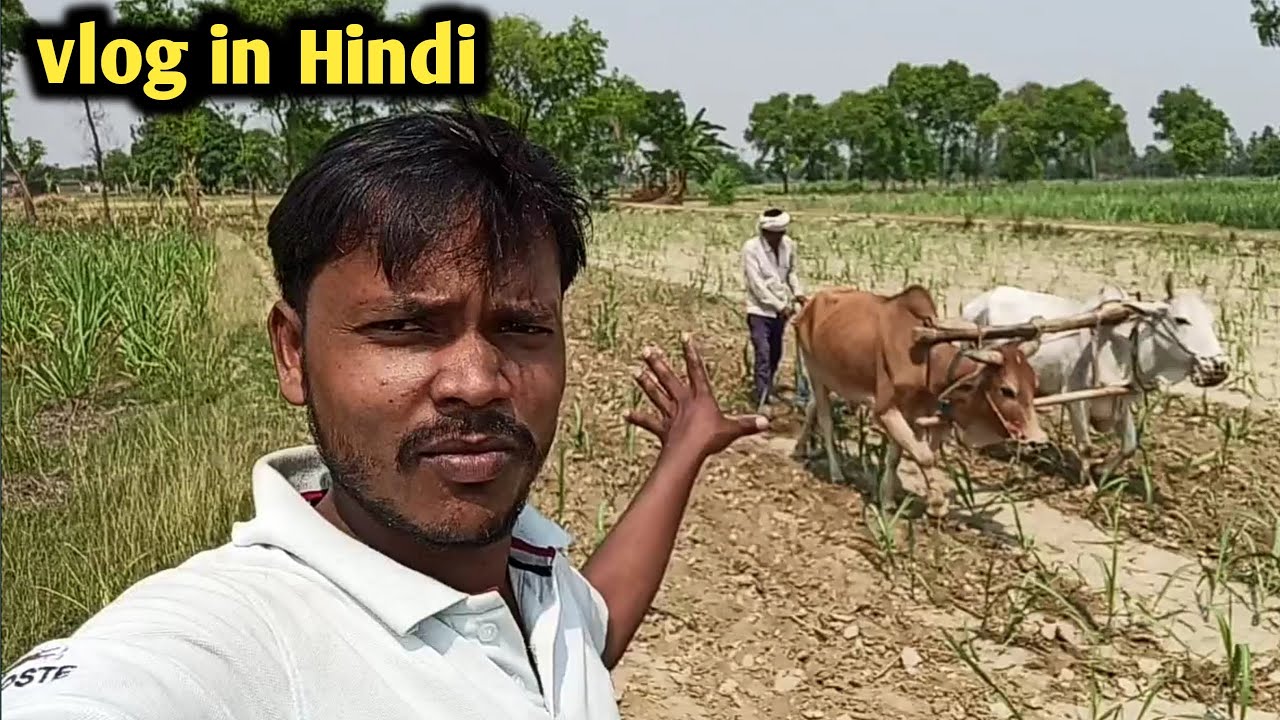 Vlog In Hindi || Indian village vlog || Trending vlog video