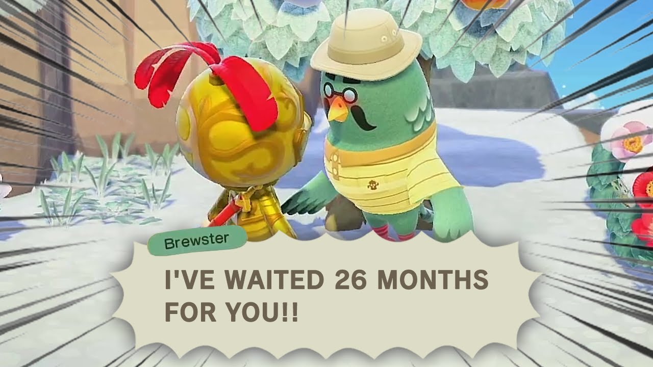 What Happens if You Didn’t Find Brewster until 2024