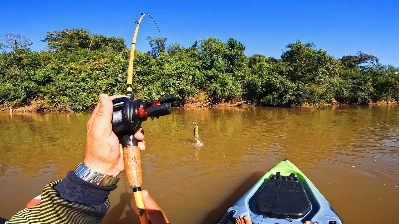 MINHA PRIMEIRA PESCARIA DE CAIAQUE ,PARAMOS EM UMA ILHA E FIZEMOS ARROZ CARRETEIRO !!!