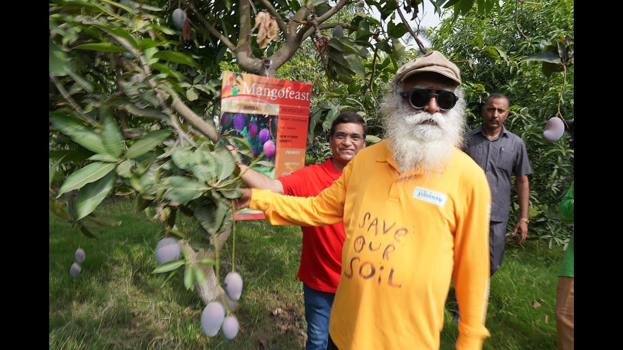 Sadhguru Jaggi Vasudeva at Mangofeast Orchards Lucknow | S C Shukla | Isha Foundation | Save Soil