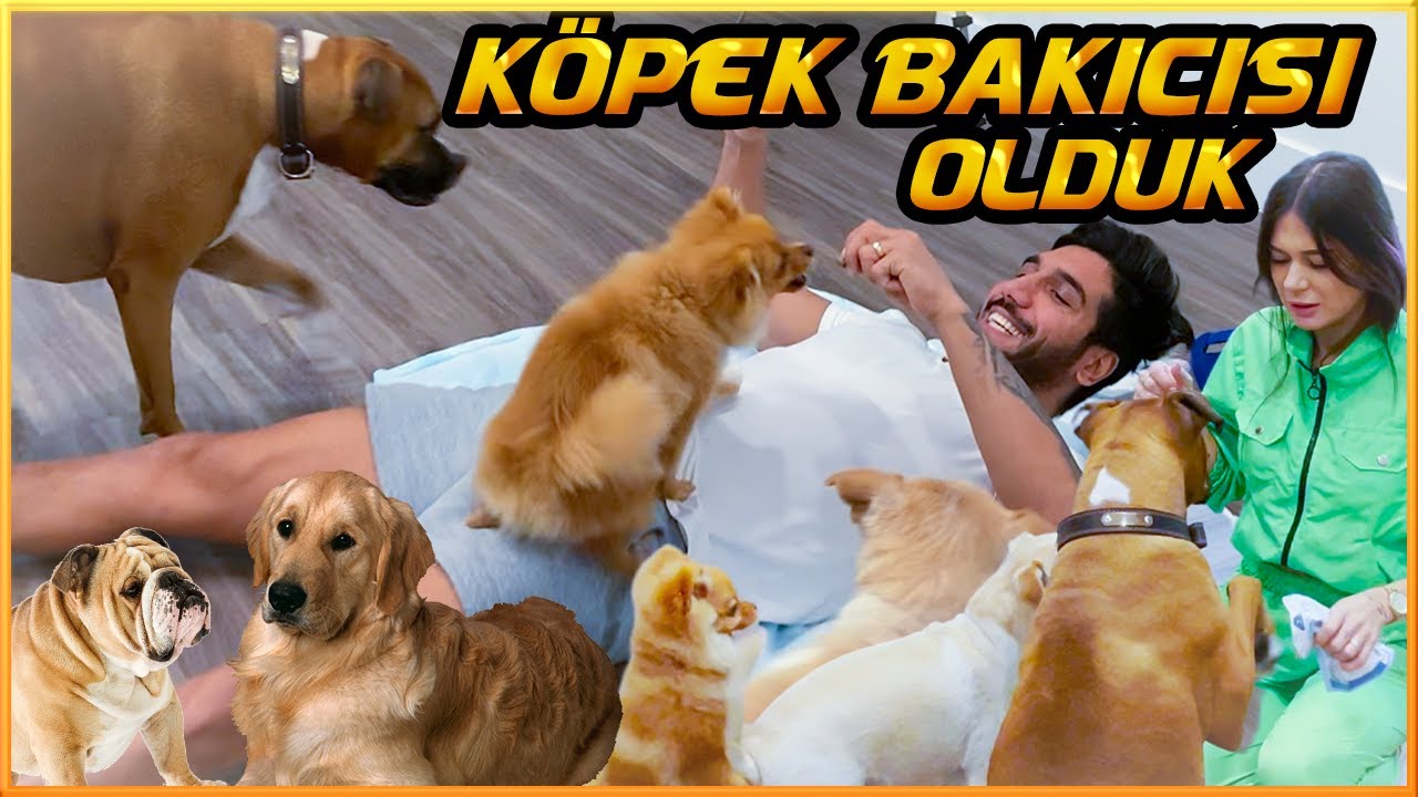 FOKS VE ARKADAŞLARININ BAKICISI OLDUK @Ezgizem