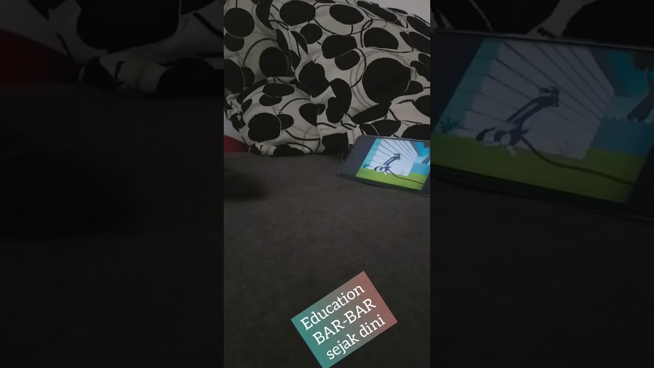 si coki anak kucing  nonton film tom and jerry..belajar bar- bar sejak dini