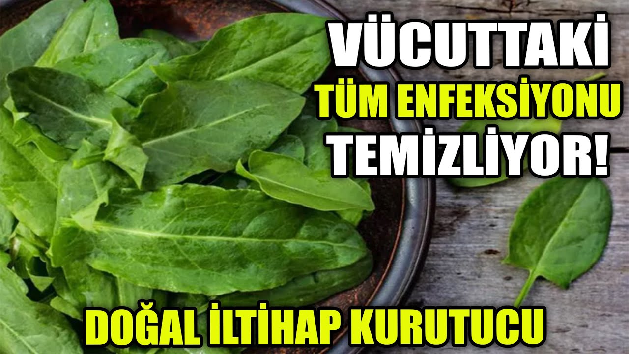 V&uuml;cuttan İltihabı Kurutarak T&uuml;m Enfeksiyonu Temizliyor!