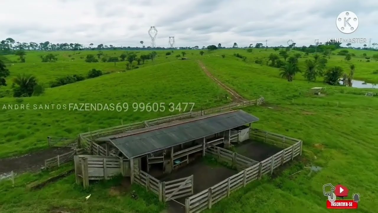 Fazendinha a venda de 110 há em Rondônia 