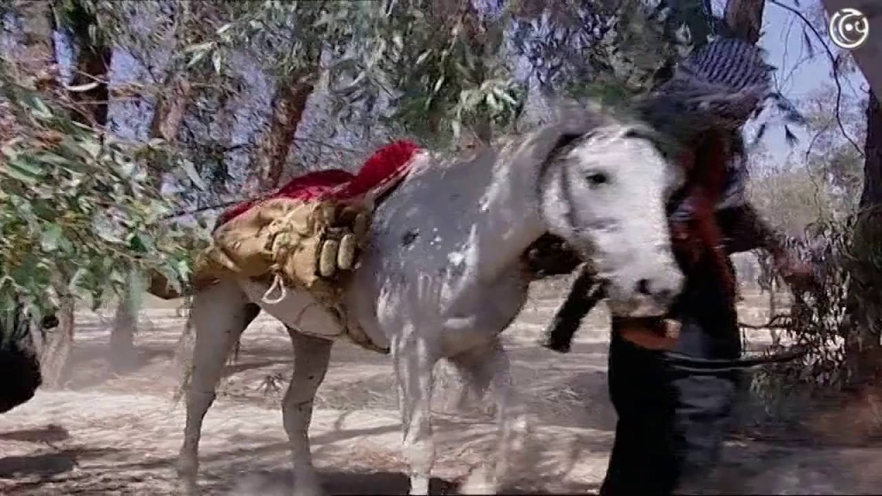 موت الزيبق على يد العسكر الفرنسي وهو عريس  - من مسلسل باب الحارة الجزء الاول