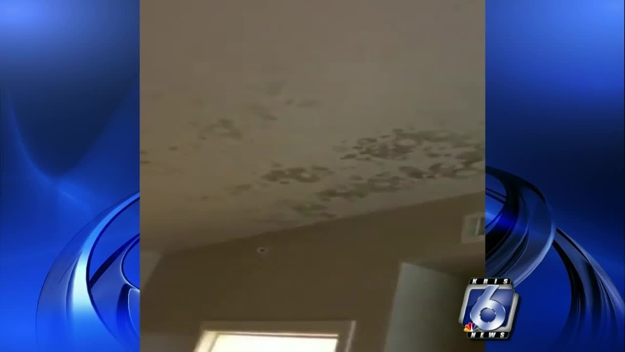 TAMUCC student concerned about potential health hazards