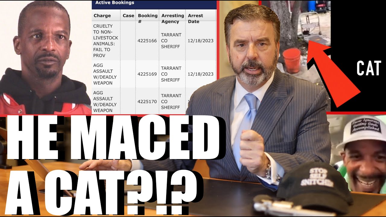 Criminal Lawyer Breaks Down Charleston White's Arrest for Animal Abuse & Agg. Assault