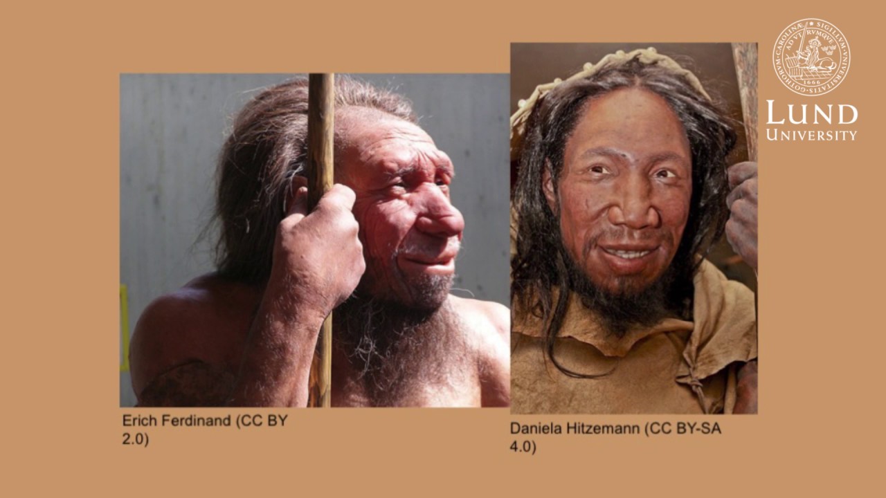 Phenotypes from the past