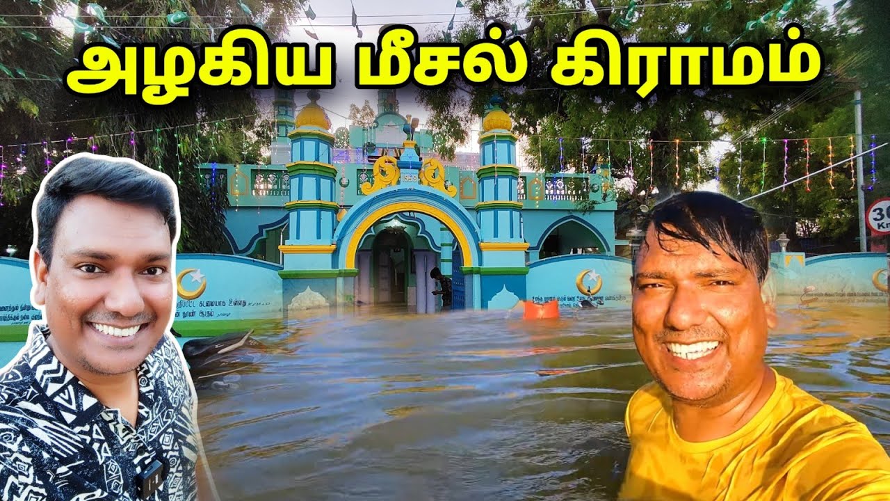 💥 அழகிய மீசல் கிராமம் | Meesal Village Tour | Village Lifestyle |Tamilnadu Village | Asraf Vlog