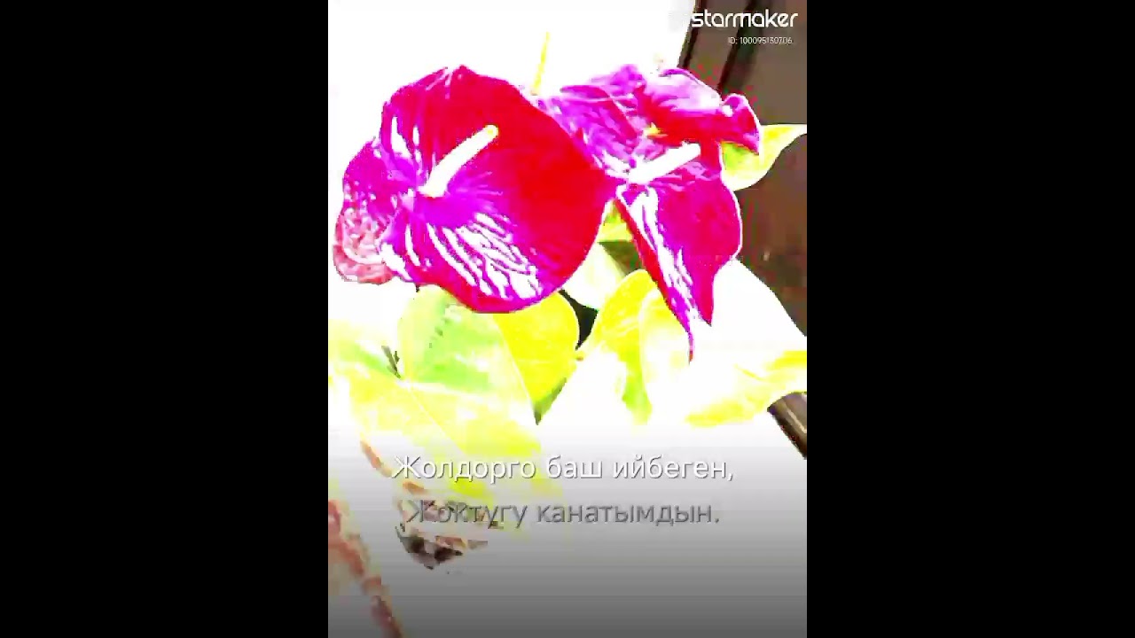 23 января 2026 г.