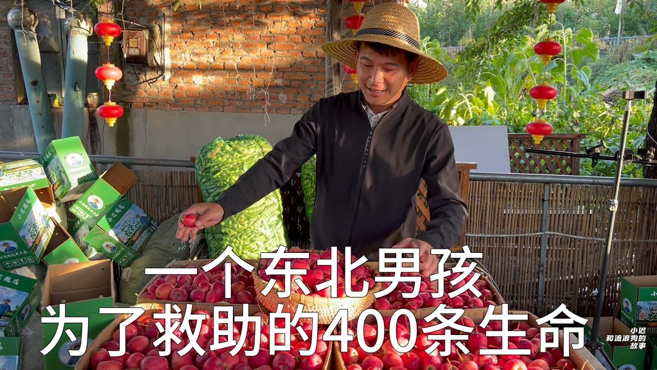 一个东北男孩为了救助的400条生命，3个月的创业季，不卖惨不苦穷，以自己的方式良性的把这条路走的更长远