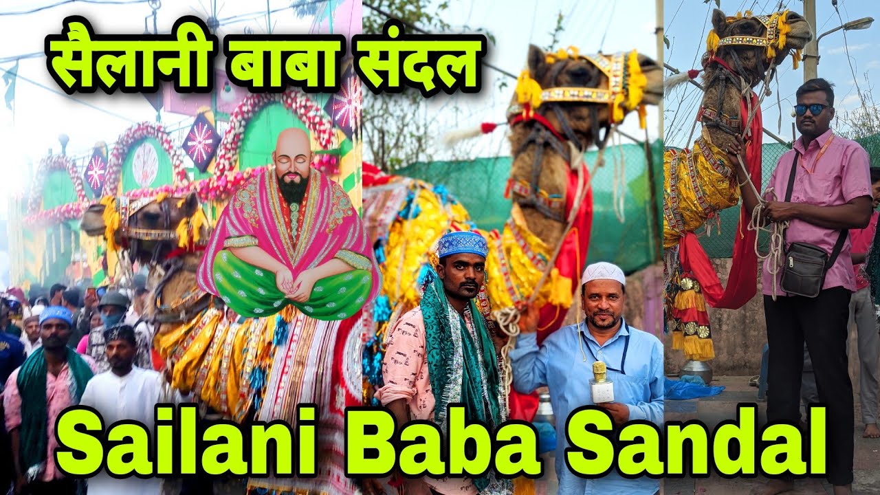 Sailani Baba sandal 2023 | सैलानी बाबा का संदल #sailanibaba #buldhananews Sandal @ateefdirector