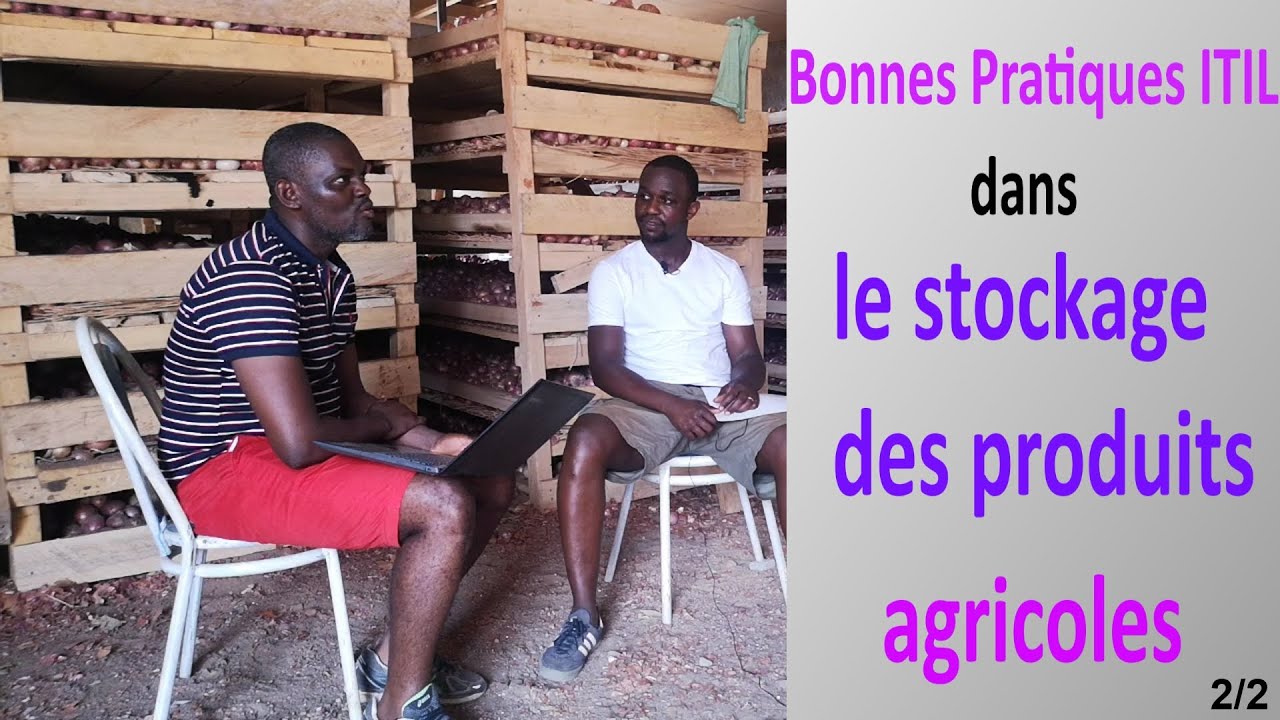 Référentiel ITIL dans le stockage des produits agricoles | Oignons | Compréhension du business. 2/2