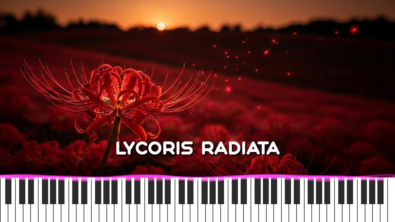 Lycoris Radiata - MIDI Visualization