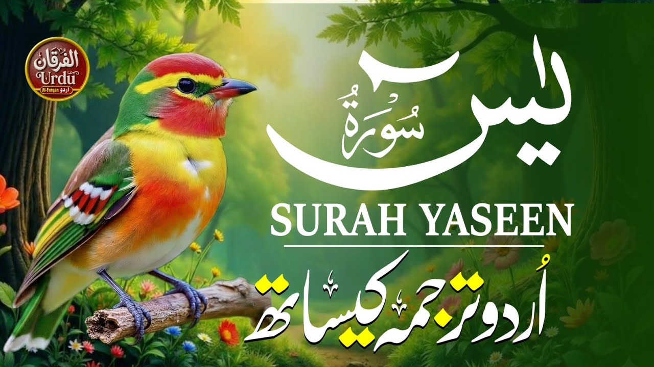 Full Surah Yaseen with Urdu Tarjuma | Most Beautiful and Relaxing Quran Recitation