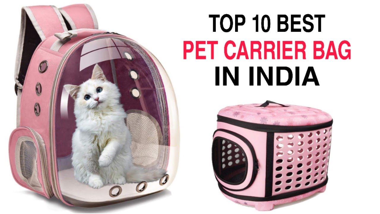 Top 10 Best Pet Carrier Bag in India With Price 2023 | Best Backpack For Dog & Cat