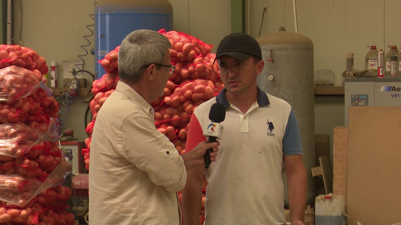Viaţa satului: Problemele producătorilor de cartofi din Dâmboviţa (@TVR1)