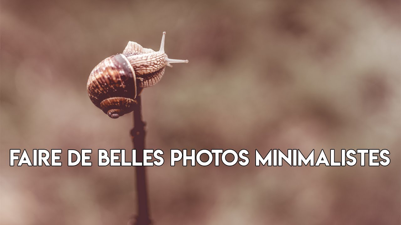 COMMENT FAIRE DE BELLES PHOTOS MINIMALISTES