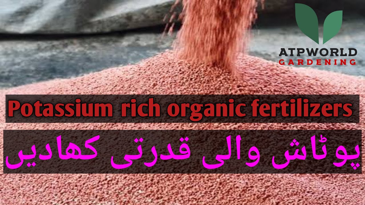 Organic fertilizers Part 3. Potassium rich fertilizers. پوٹاشیم سے بھرپور قدرتی کھادیں