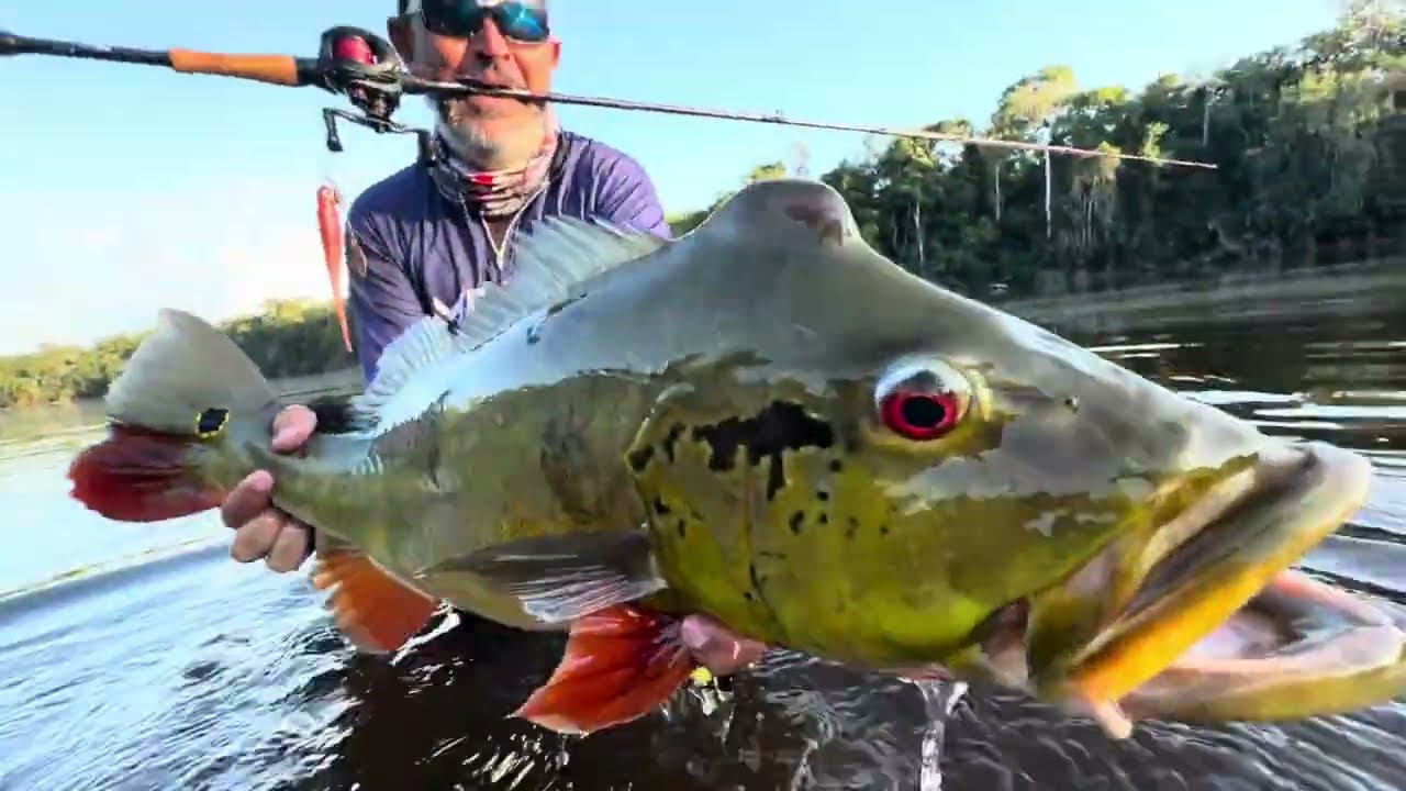 SERÁ O PEIXE MAIS BONITO DO ANO?