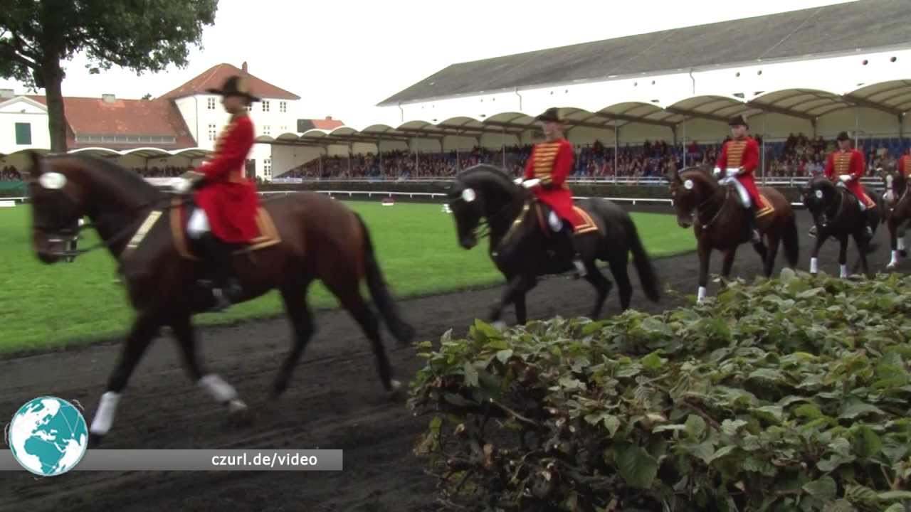 Celler Hengstparade 2013 im niedersächsischen Landgestüt