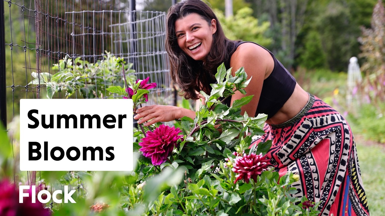 Summer Bulbs Are Blooming: DAHLIA, LIATRIS, CROCOSMIA — Ep. 326