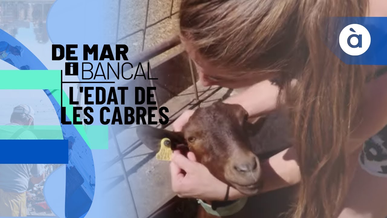 L'edat de les cabres - De mar i bancal