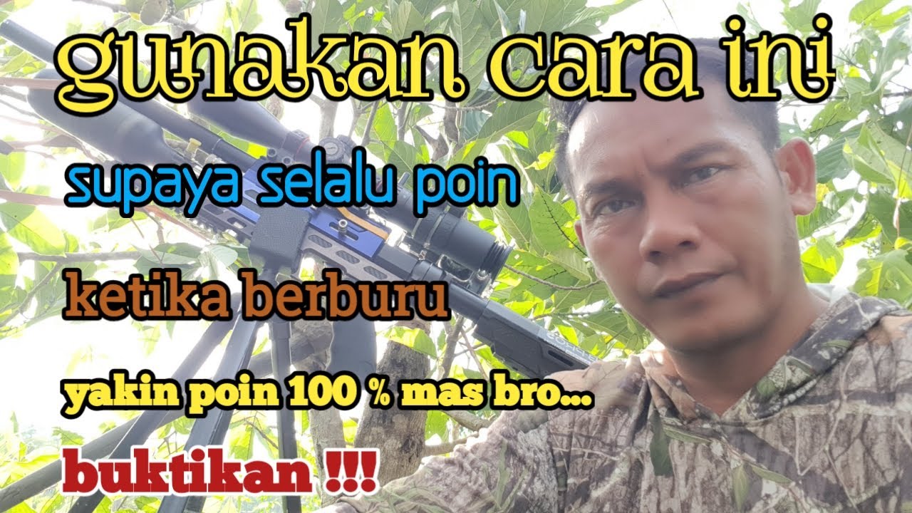 Cara khusus dalam berburu punai dan tekukur agar tidak zonk #Strategi #penembakangin  #bogel