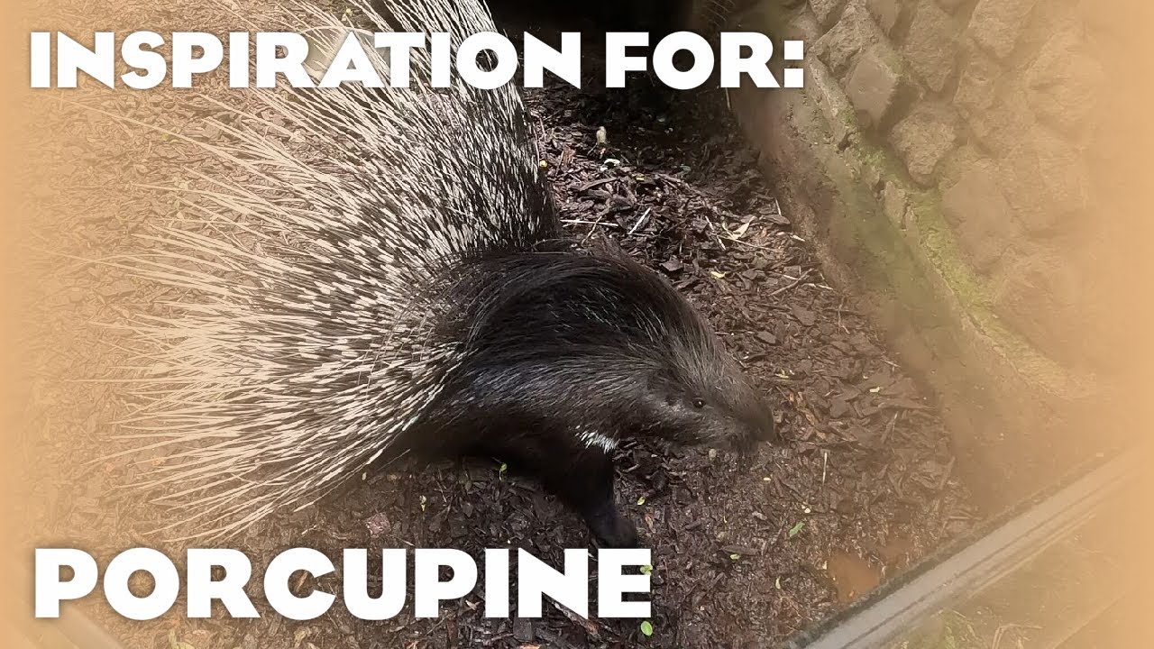 23 Real Porcupine Habitats! (Planet Zoo: Arid Animal Pack Inspiration)