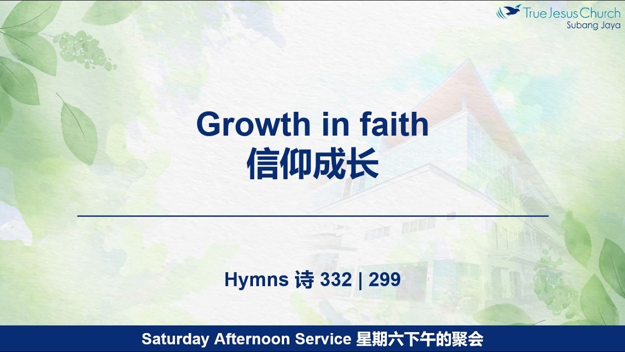 14.02.2026 - Growth in faith 信仰成长