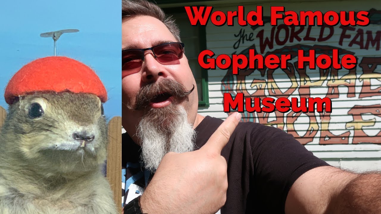 The World Famous Gopher Hole Museum Weird, Strange and Wonderful
