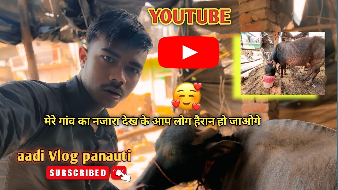 YouTube #hmare village k Najara kaisa h #viral #aajkavlogs #youtube #minivlog #longvideos #channel #