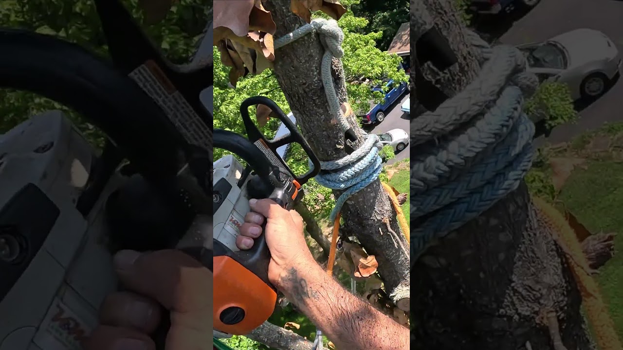 Negative Rigging Top out of Black Jack Oak