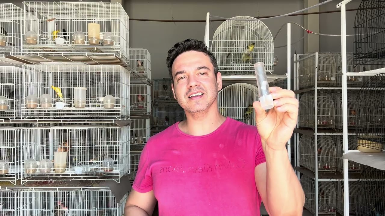 O Segredo dos Criadores: Bebedouro Automático para Canários.