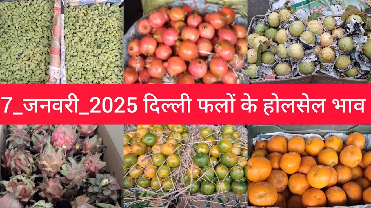 January 7, 2026 दिल्ली फलों के भाव Delhi fruit market price APMC fruit market price 
