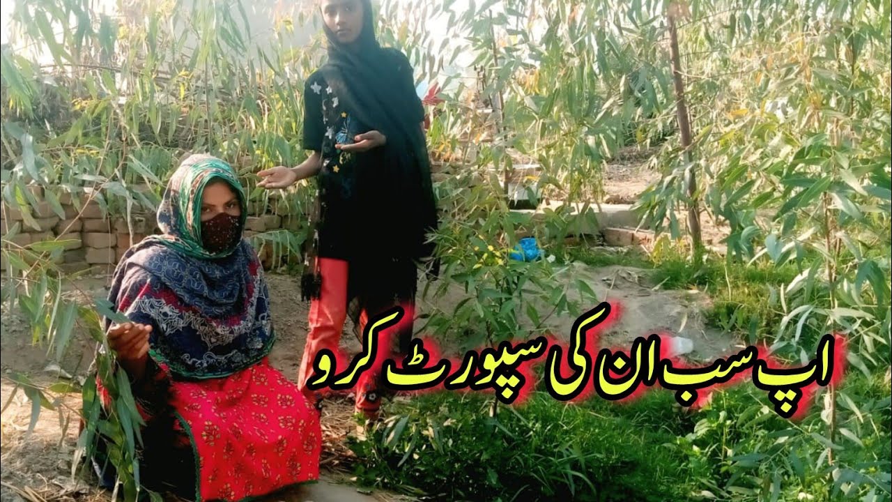 February 21, 2026 aap sab inki support karo Asma village vlogs 