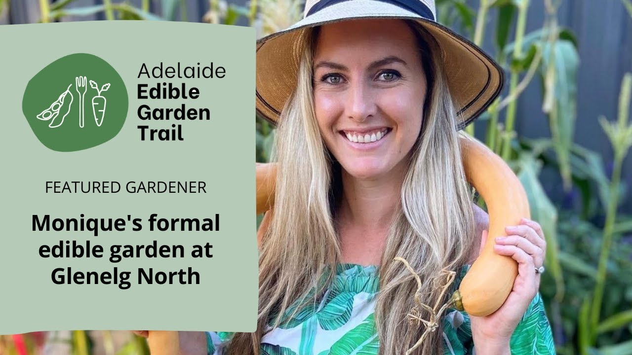 Официальная съедобная грядка Моник Коллинз в Гленелге-Норт | Adelaide Edible Garden Trail 2021